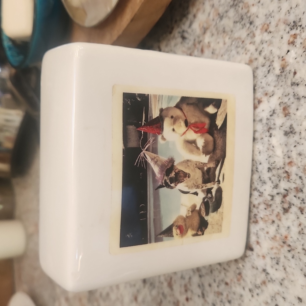 Rae  Dunn dog block
